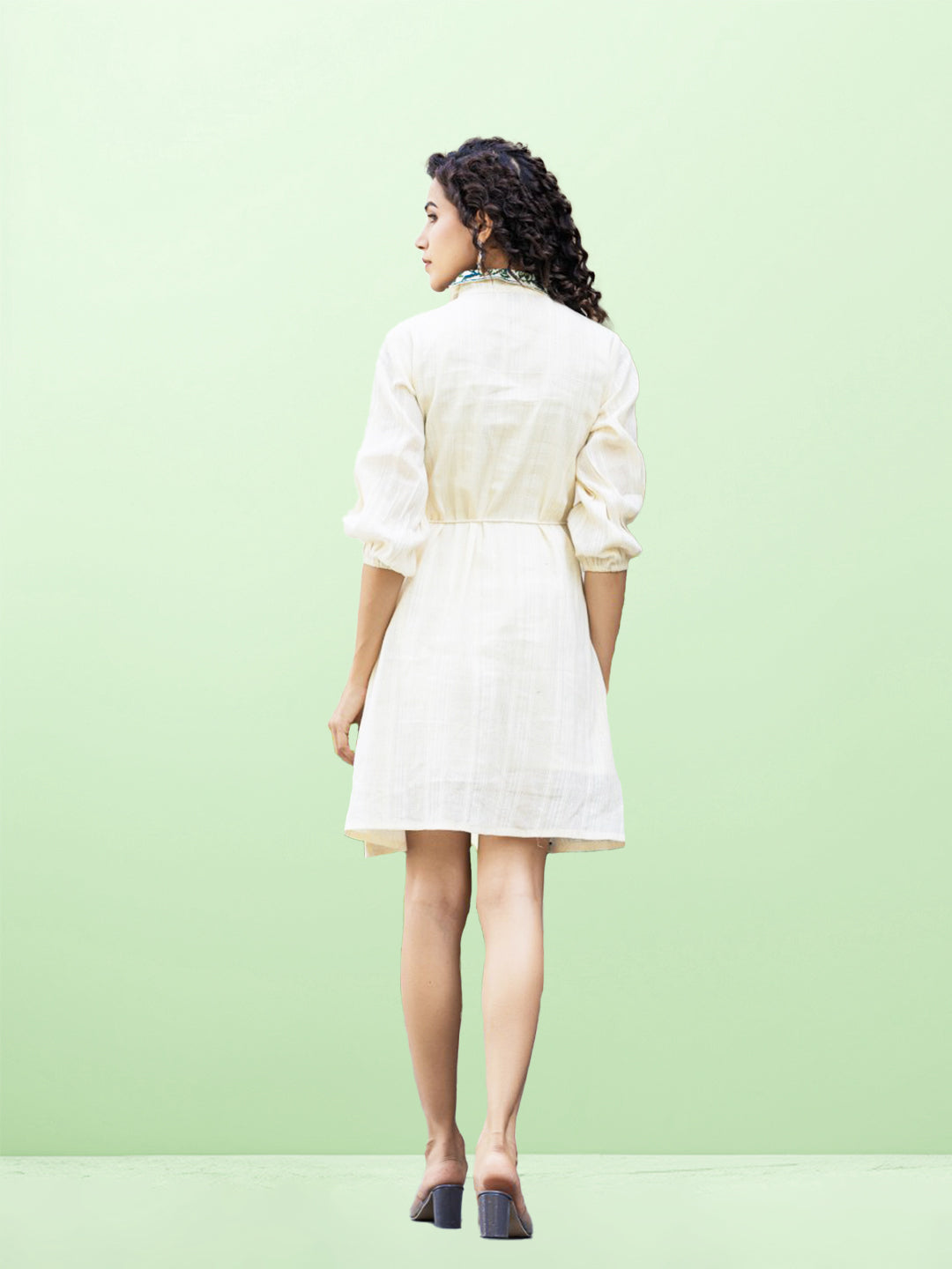 Embroidered Perfection Short Dress with Ethnic Motifs