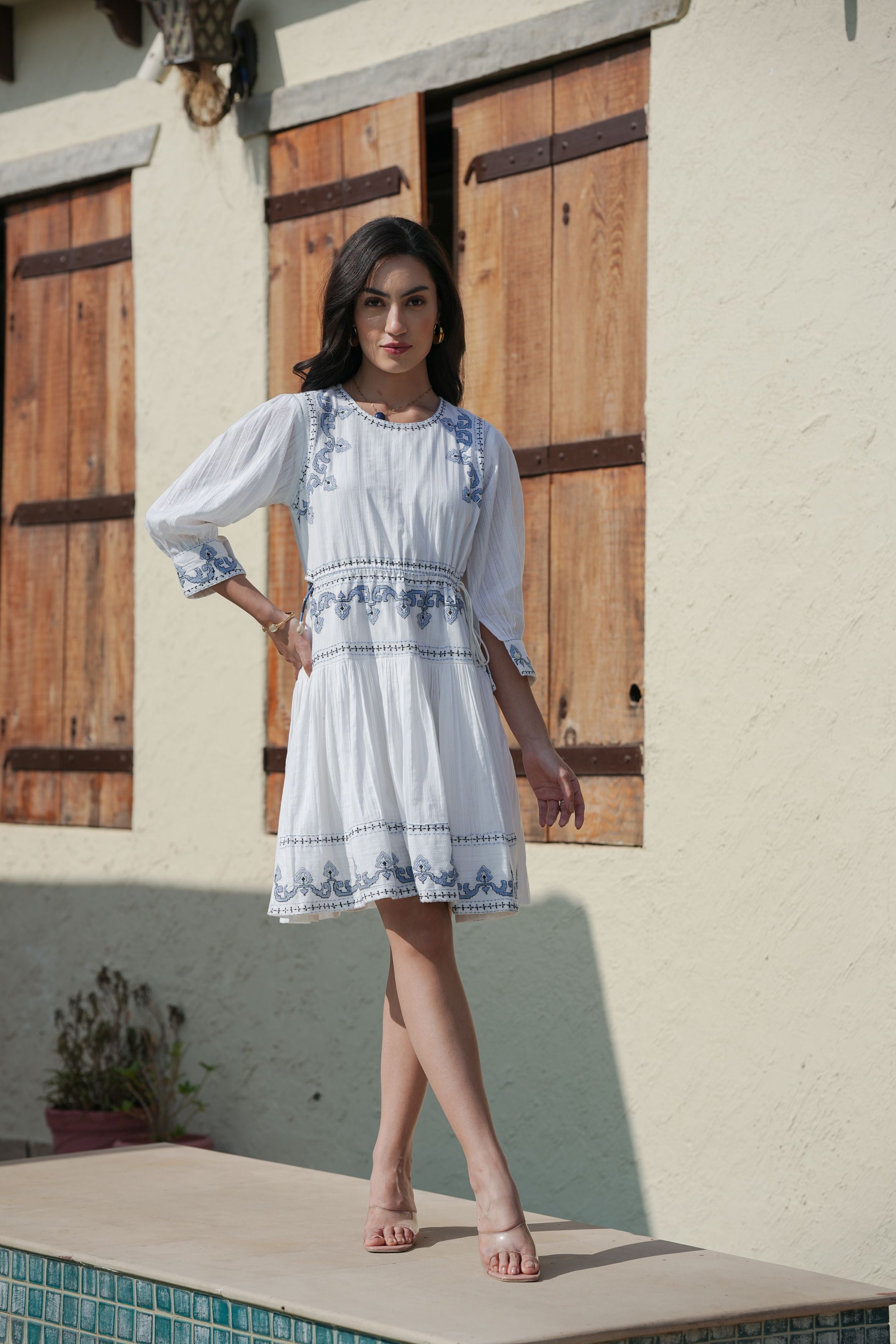 Threaded Beauty A-Line Short Dress with Intricate Embroidery
