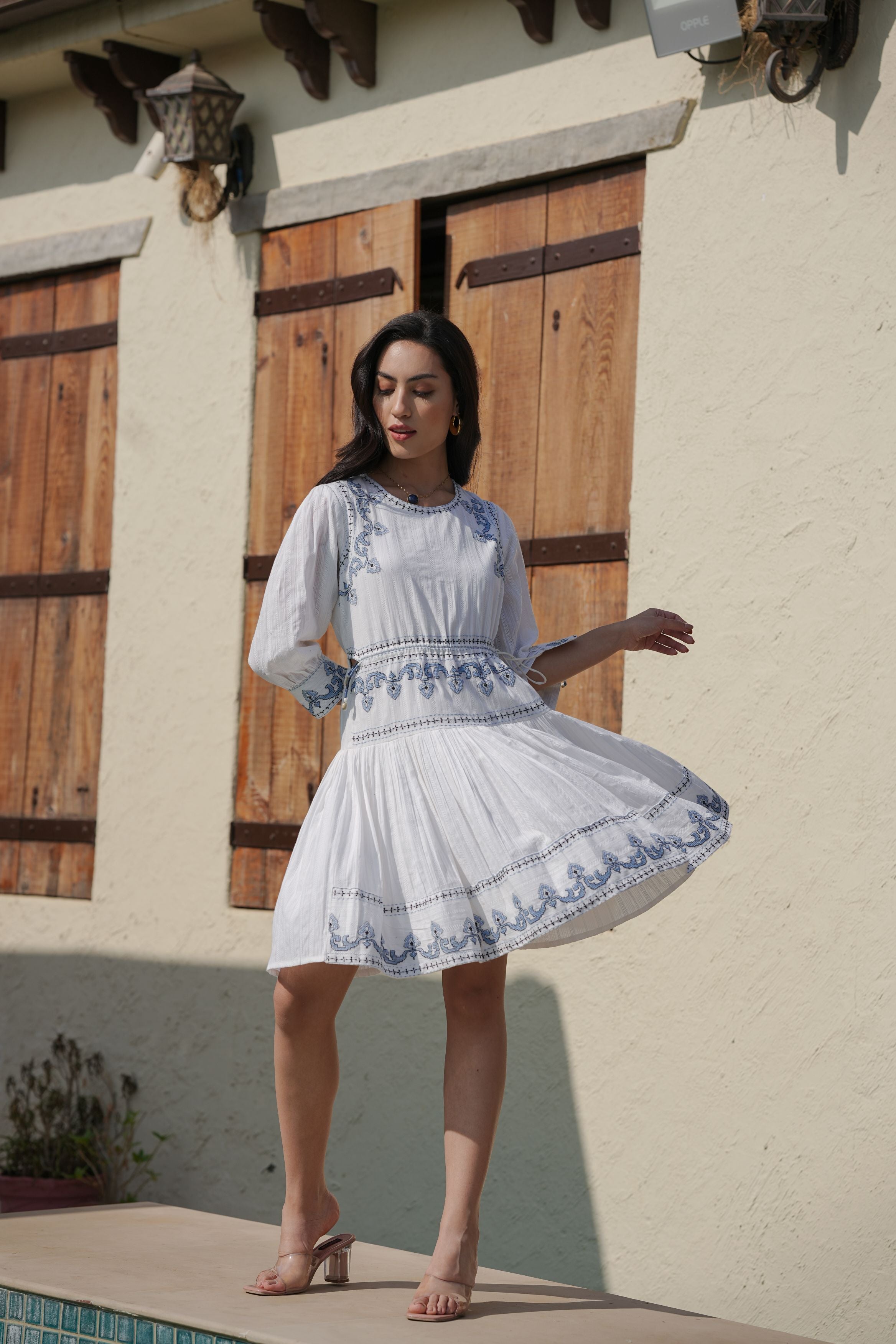 Threaded Beauty A-Line Short Dress with Intricate Embroidery